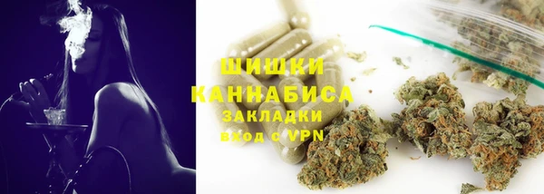 шишки Корсаков