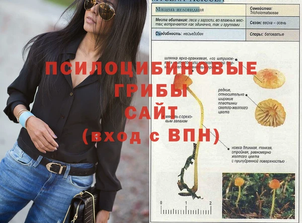 кокс Новозыбков