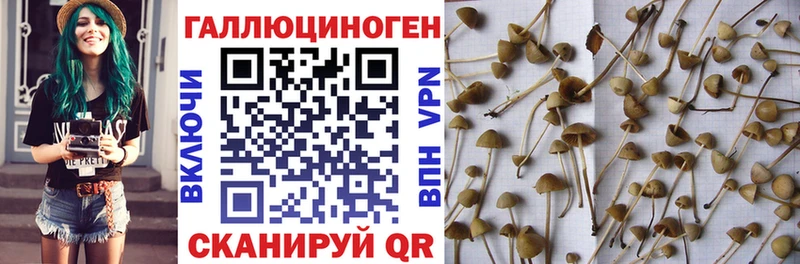 Галлюциногенные грибы мухоморы  наркошоп  Мурино 