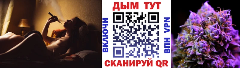 МАРИХУАНА сатива Мурино